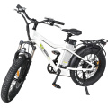 20" Rear Drive Motor Samsung Lithium Battery Fat Tyre Electric Bike for Children